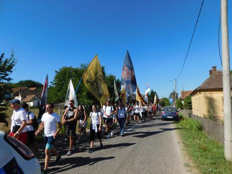 loznica--proslogodisnji-mars.jpg