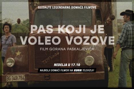 pas-koji-je-voleo-vozove-pr-704x469px.jpg