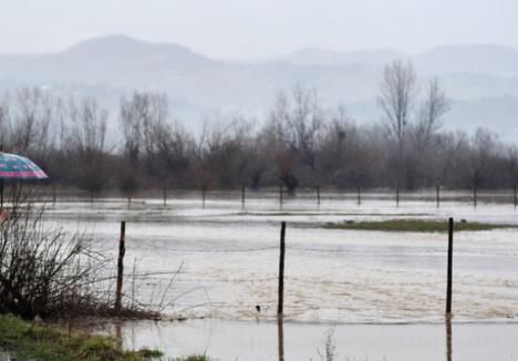 poplave-bosna.jpg