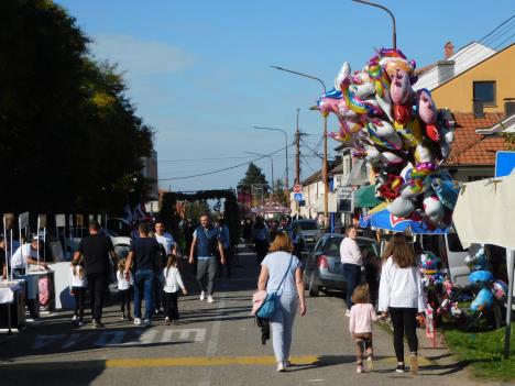 loznica--lesnica-danas.jpg