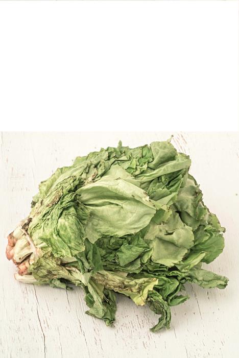 salata-stockphotounhealthybunchoflettucegettingrottenonawoodentablewithcopyspace1737208496.jpg