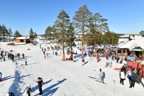 zlatibor-tornik--martin-candir.jpg