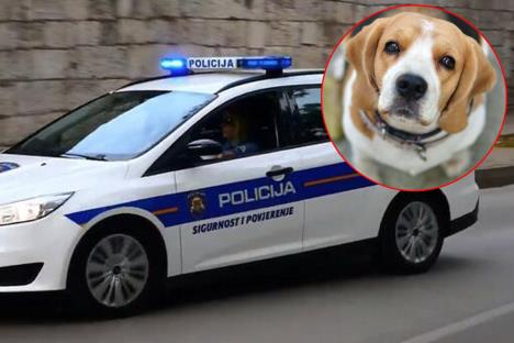 hrvatska-policija-pas.jpg