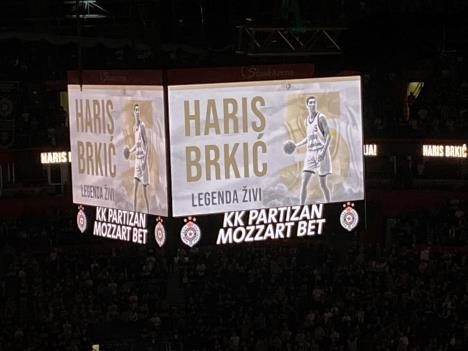 haris-brkic.jpg