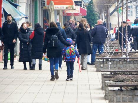 loznica--manje-loznicana-nego-2011..jpg