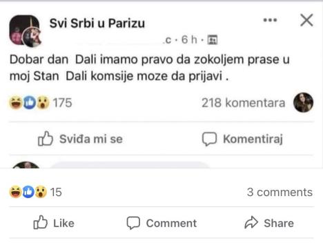 srbi-u-parizu.jpg