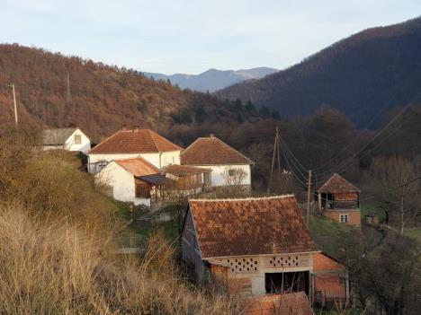 radocelo-tuzna-sudbina-srba.jpg