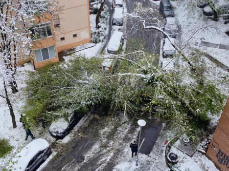 karaburma.jpg