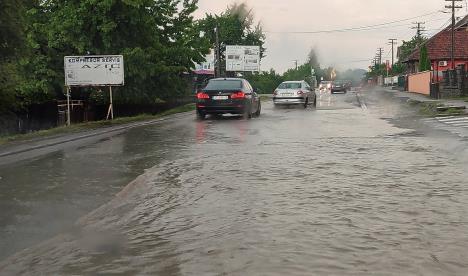 loznica--ponovo-reke-na-ulicama.jpg