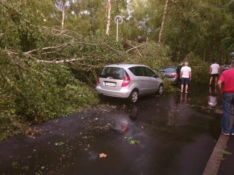 loznica--posle-oluje.jpg