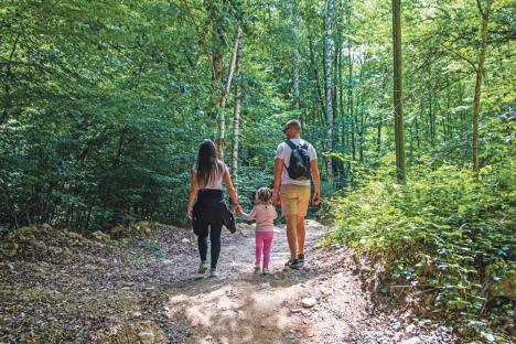 shutterstock----stockphotodjavoljavaroskursumlijaserbiajulyyoungfamilywalkinginaforestinsummer1464333533.jpg