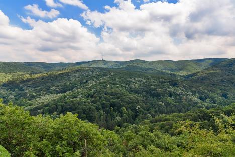 Fruška gora