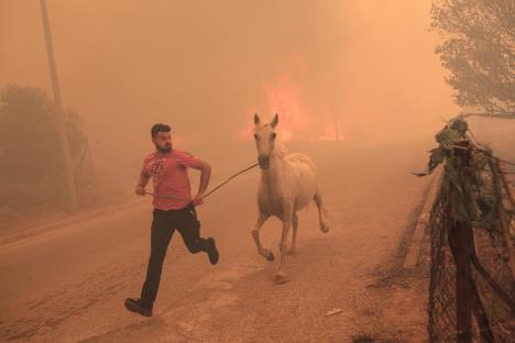 dejan02-epa-kostas-tsironis.jpg