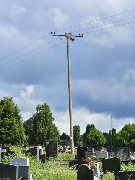 rode-stradale-od-elektrokucije-novo-groblje-nis-foto-dzpps.jpg