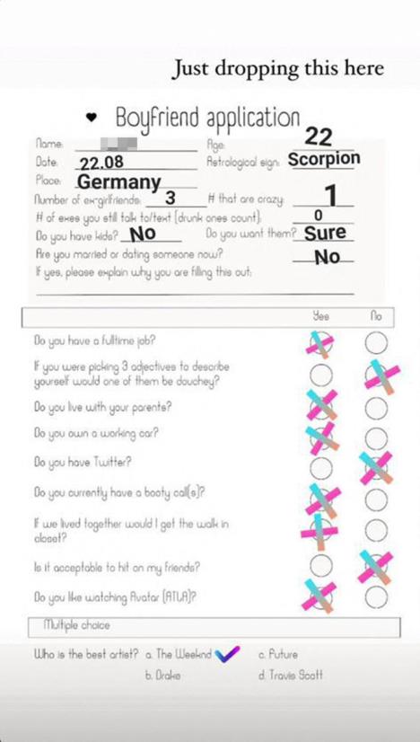 Onlajn upitnik za potencijalne momke Vere Dijkmans
