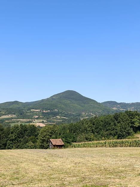 planina-kod-mrcajevaca.jpg