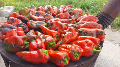 1695310014-ajvardomacicafotorina1.jpg