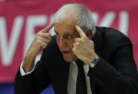 obradovic.jpg