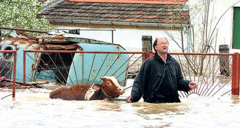 srbija-dunav-poplave.jpg