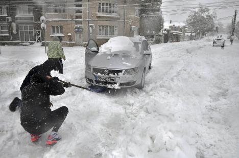 бугарски-5.jpg
