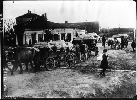 tifus-sahrana-tifusara-mart-1915.jpg