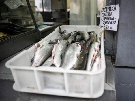 20231208-21-48-04cene-riba-na-pijacama---info---ekonomija.jpg