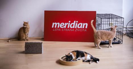 meridian-promo-11.jpg