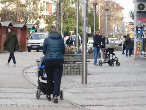 loznica--za-setnju.jpg