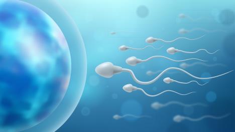 spermatozoidi-shutterstock-2263652711.jpg