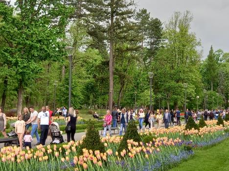 vrnjacki-park-foto-srdjan-udovicic.jpg