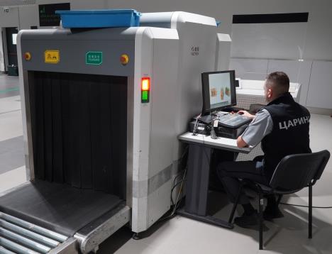 Carina na aerodromu Nikola Tesla