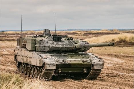 leopard-2.jpg