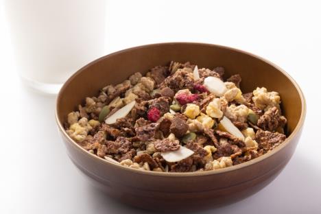 granola-sa-cokoladom-shutterstock-2331891433.jpg