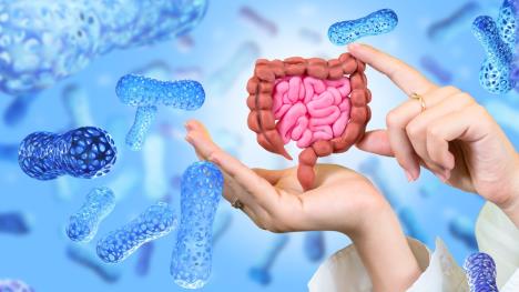 mikrobiom-creva-shutterstock-2271088929.jpg