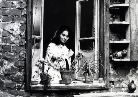 Dušica Žegarac.jpg