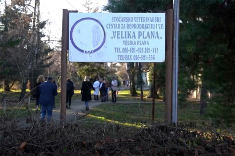 velika-plana.jpg