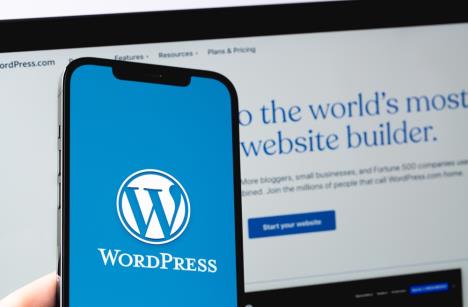 shutterstock-wordpress-2.jpg