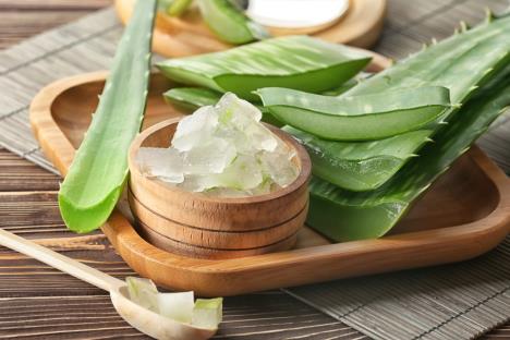 aloe-vera-shutterstock-1208897563.jpg