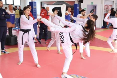 tekvondo1.jpg