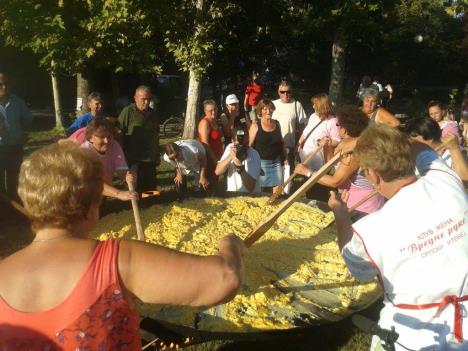 zitiste-cikenfest.jpg