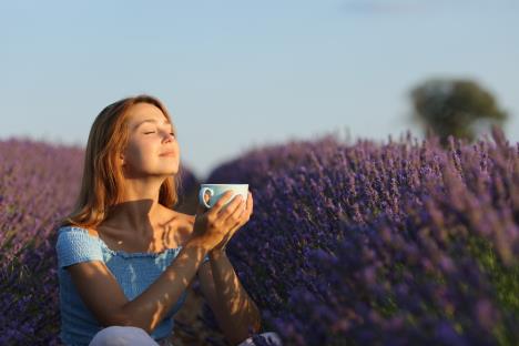 lavanda-caj.jpg