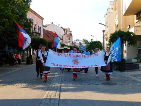 loznica--defile.jpg