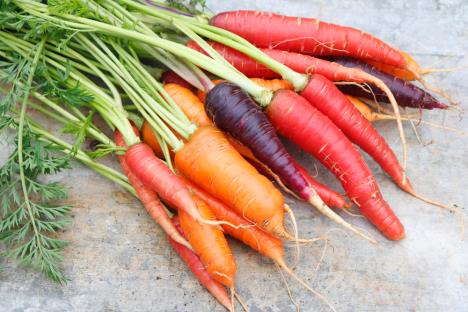 raznobojne-sargarepe-shutterstock-1934757755.jpg
