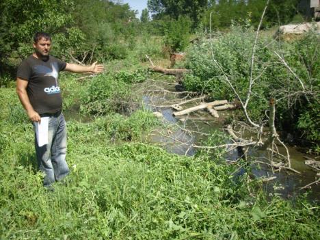 zitoradja-jezero-fekalije-goran-milenkovic.jpg