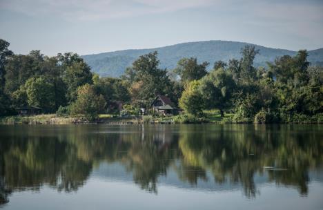 shutterstock-788151439.jpg