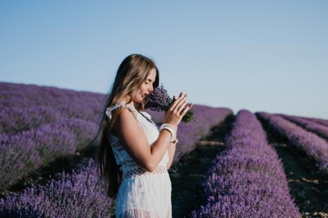 lavanda-shutterstock-2456521365.jpg