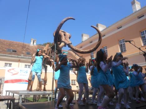 mamut-fest-kikinda.jpg