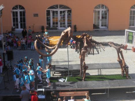 mamut-fest-kikinda.jpg