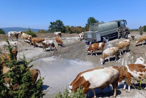 20240823-18-04-574-angazovanje-vojske-srbije-na-vodosnabdevanju-u-o-1724424427.jpg-25001667--.jpg