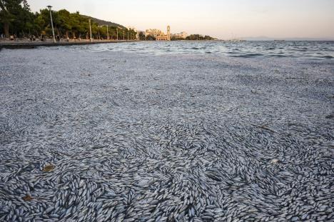 volos02-epa-nikos-chatzipolitis.jpg